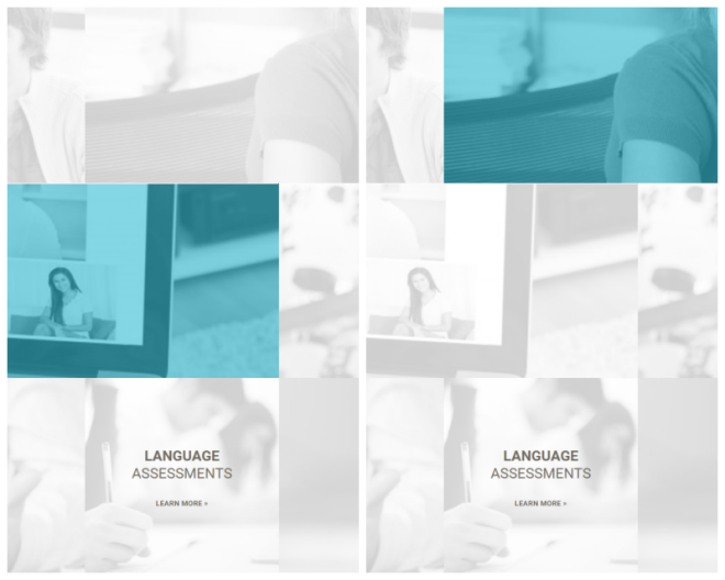 Review Language Access Multicultural People image 197798