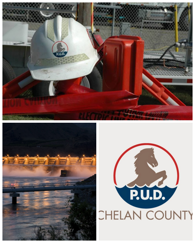 Review Chelan County PUD image 80790
