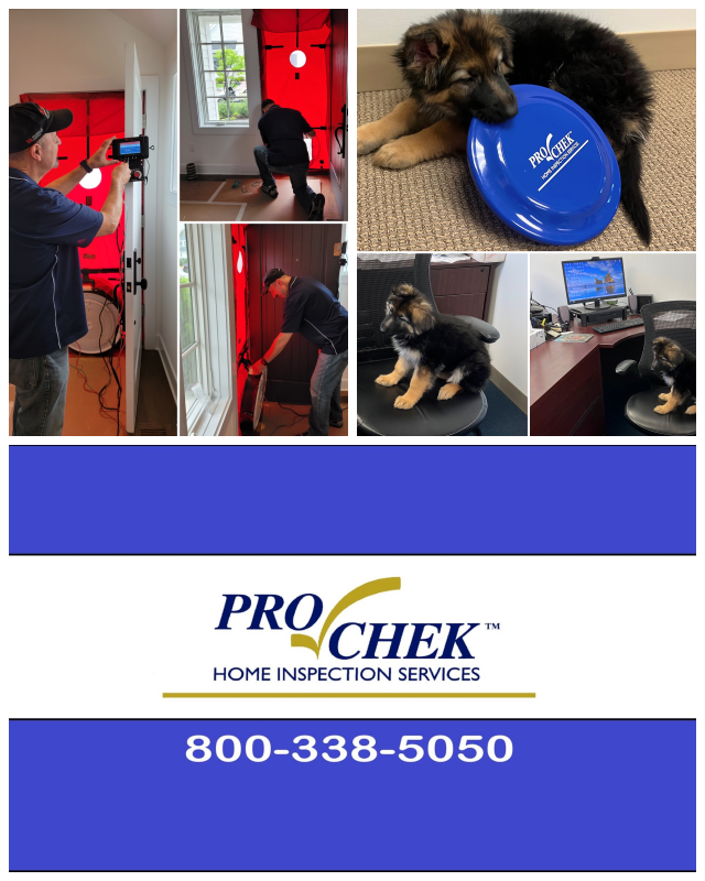 Review Prochek home inspections image 340353