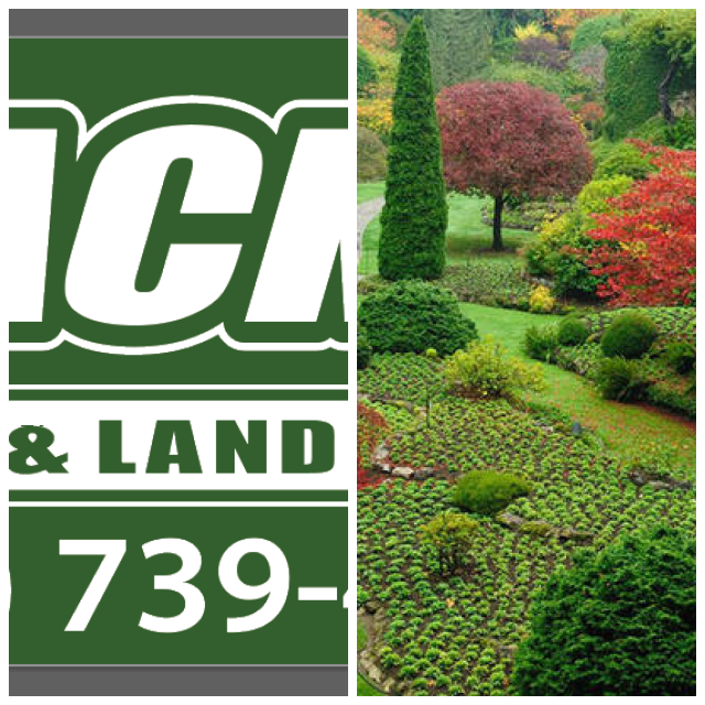 Review Jack's Lawn & Landscape image 165729