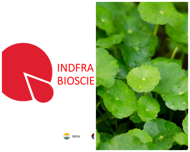 Review INDFRAG Bioscience Limited image 58143