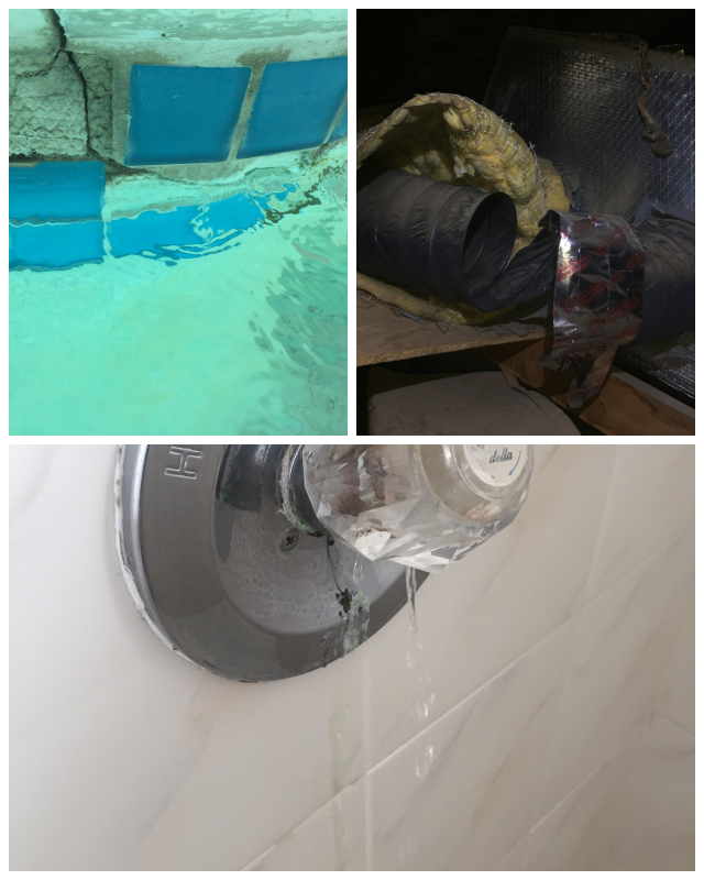 Review Schultz property inspections image 350950