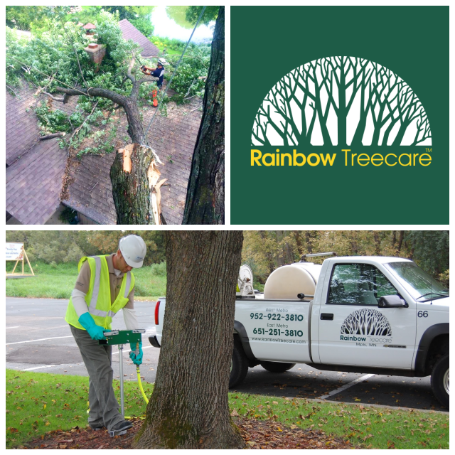 Review Rainbow Treecare image 137350