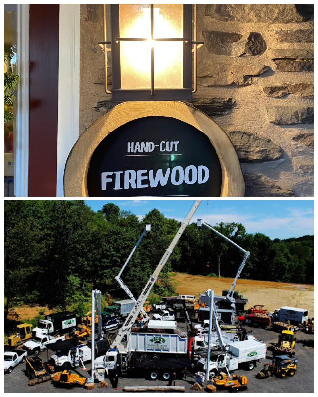 Review Rick's expert tree service, inc. image 345800