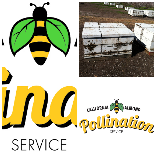 Review California Almond Pollination Services image 33648