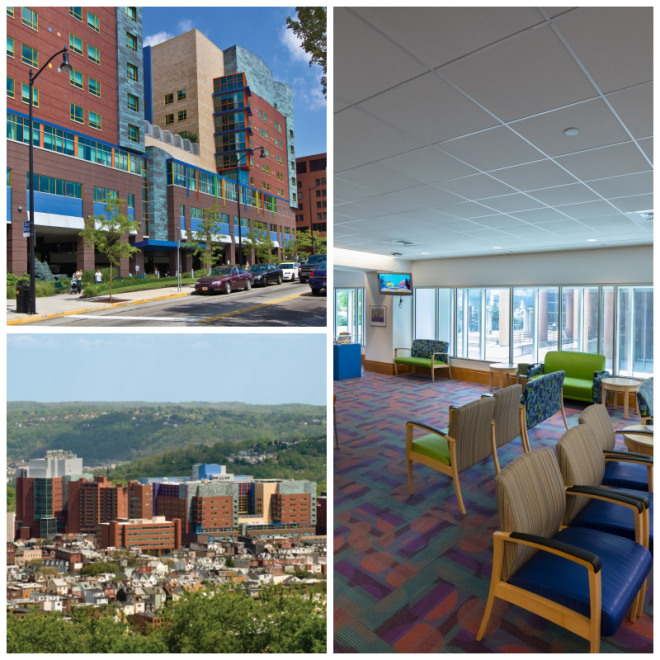Review CHP/UPMC image 46894