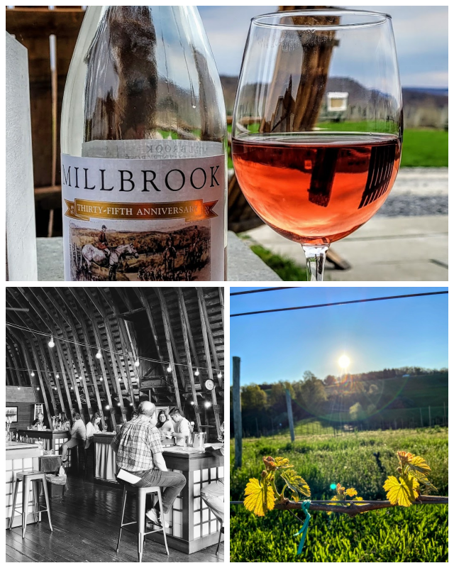 Review Millbrook vineyards and winery image 321617