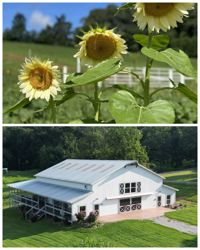 Review Cedar Pond Farms image 119558