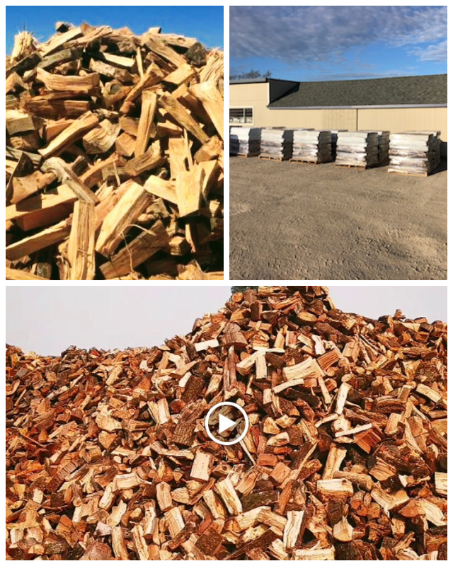 Review All Seasons Firewood LLC image 220788