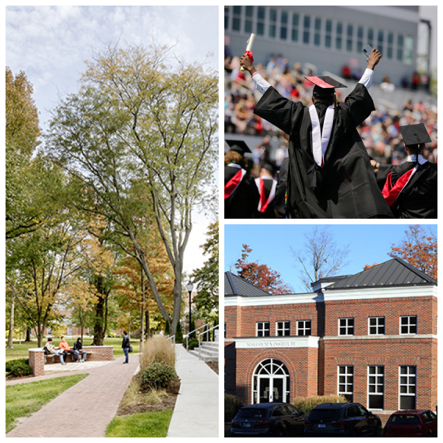 Review Wabash college image 241048