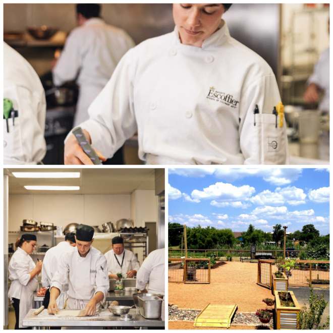 Review Auguste escoffier school of culinary arts image 249350