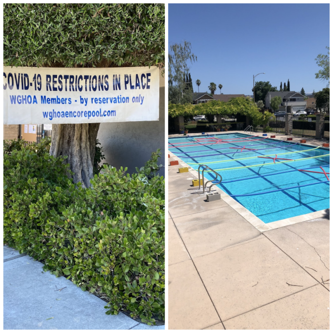 Review Willow Glen HOA -Encore Pool image 177180