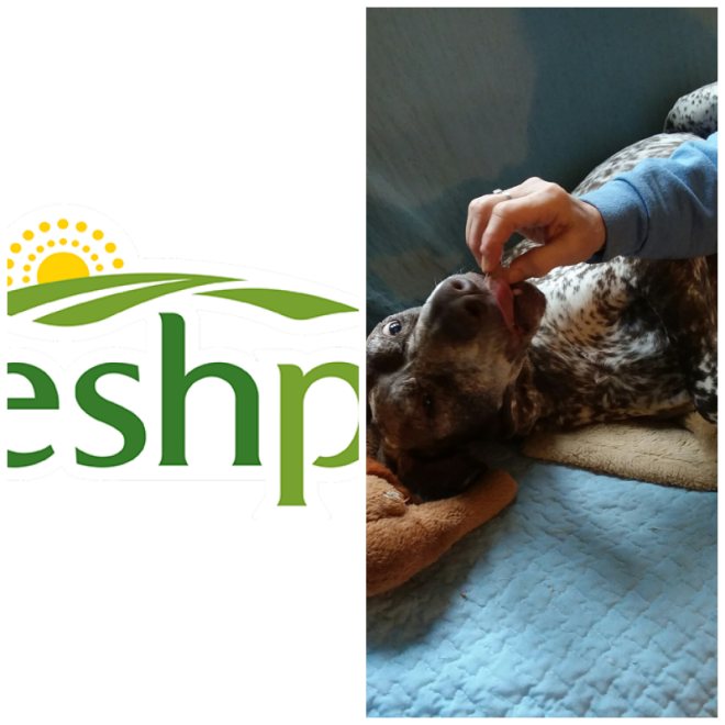 Review Freshpet image 245110