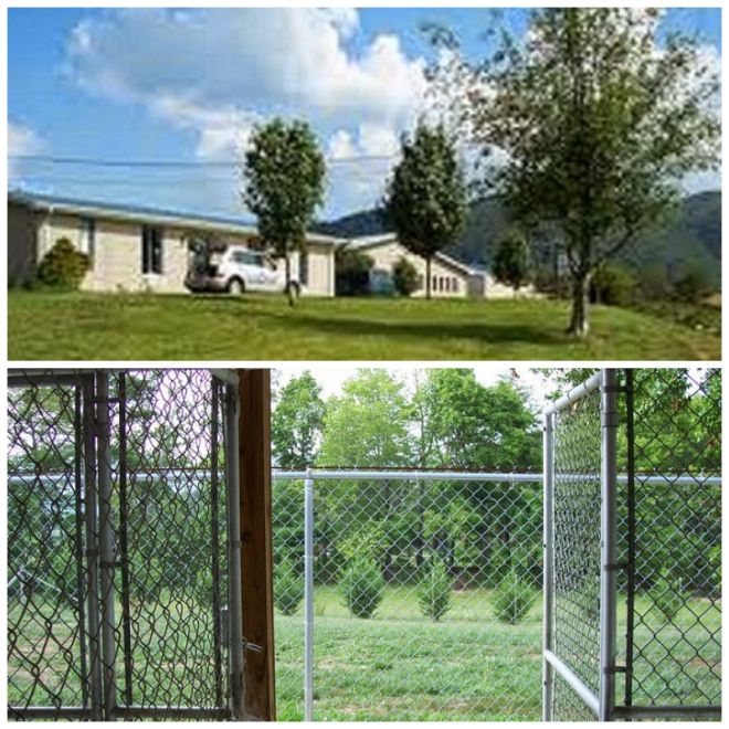 Review GreenePets Foster Network, Inc. image 150968