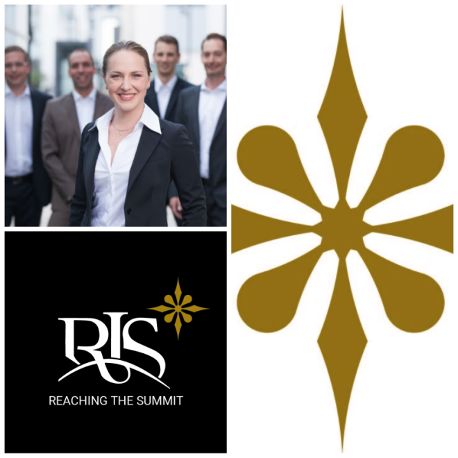 Review The RISConsulting Group image 153572