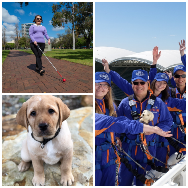 Review Guide Dogs SA.NT image 70815