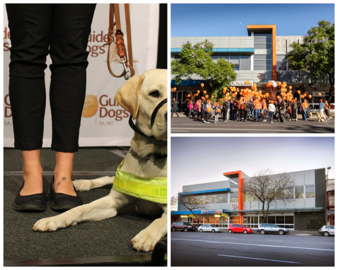 Review Guide Dogs SA.NT image 70816