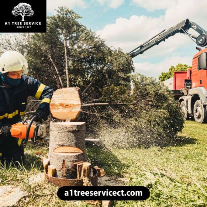 Review A1 Tree Service LLC image 358900