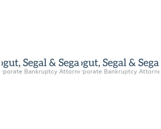 Review Togut Segal & Segal LLP image 142684
