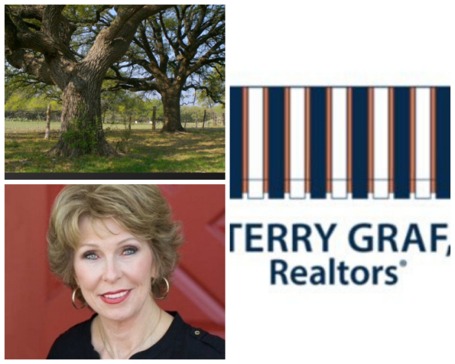 Review Terry graf realtors image 289751