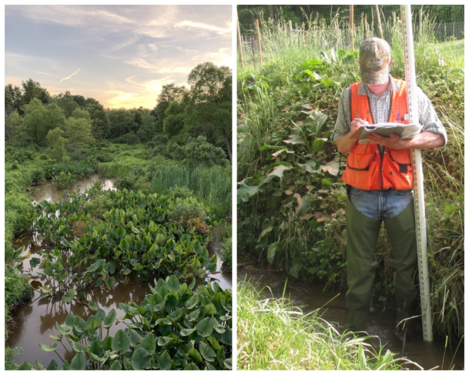 Review Wetland Studies and Solutions, Inc. image 27214