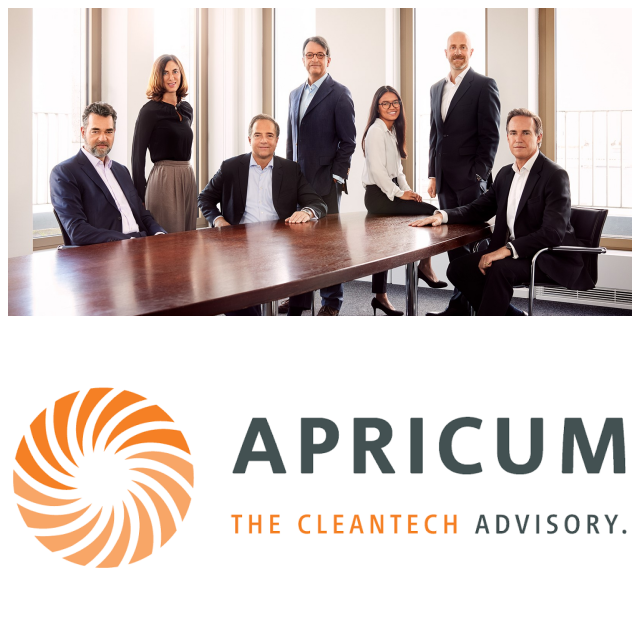 Review Apricum GmbH image 17913