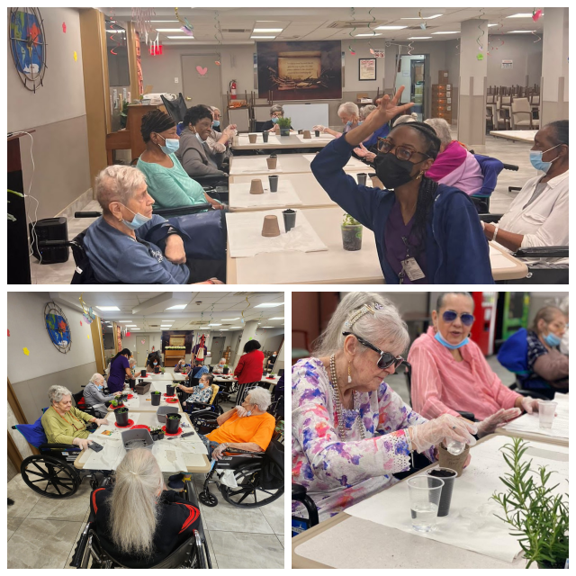 Review Dry harbor nursing home & rehabilitation center image 261667
