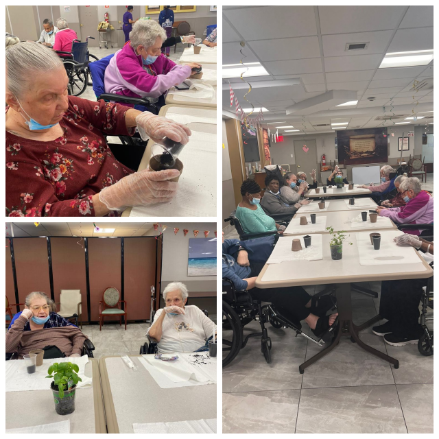 Review Dry harbor nursing home & rehabilitation center image 261668