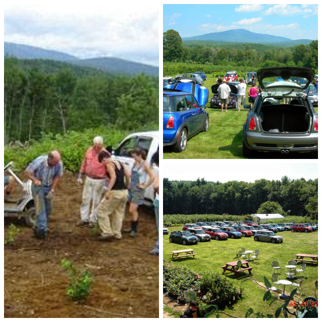 Review Monadnock Berries image 110707