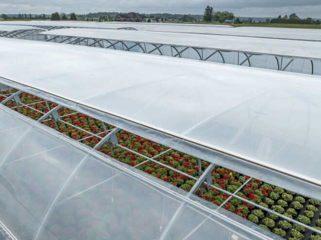Review Harnois Greenhouses image 358825