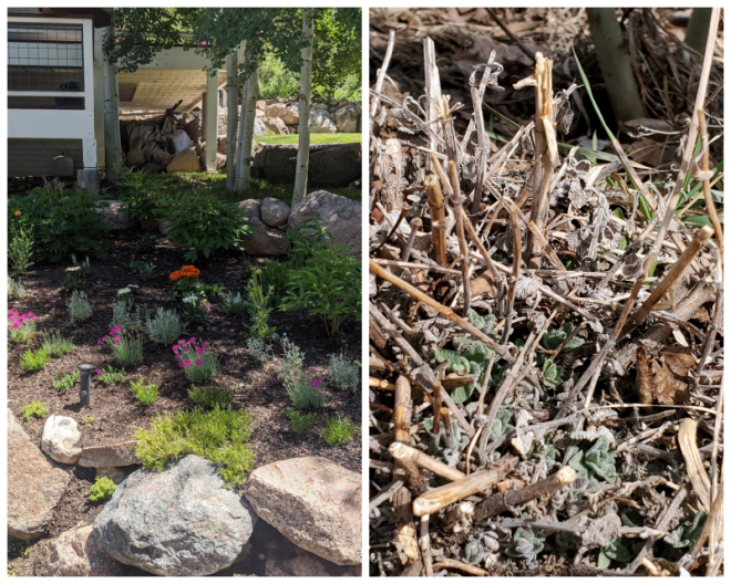 Review Gore Range Landscaping image 167252