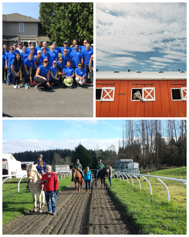 Review Little Bit Therapeutic Riding Center image 23125