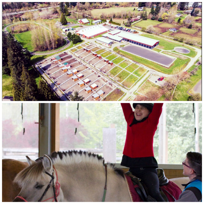 Review Little Bit Therapeutic Riding Center image 23126