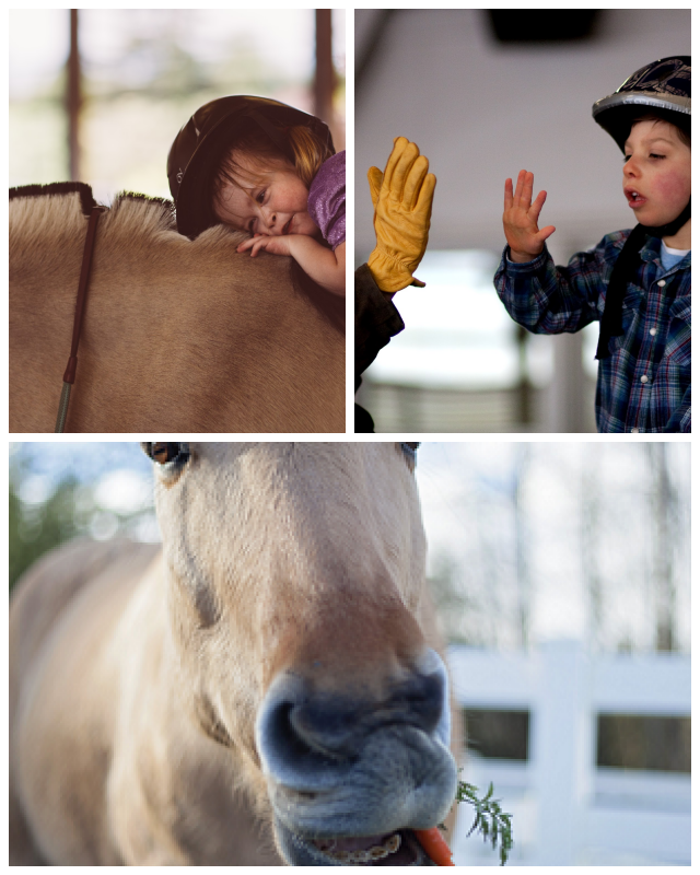 Review Little Bit Therapeutic Riding Center image 23127
