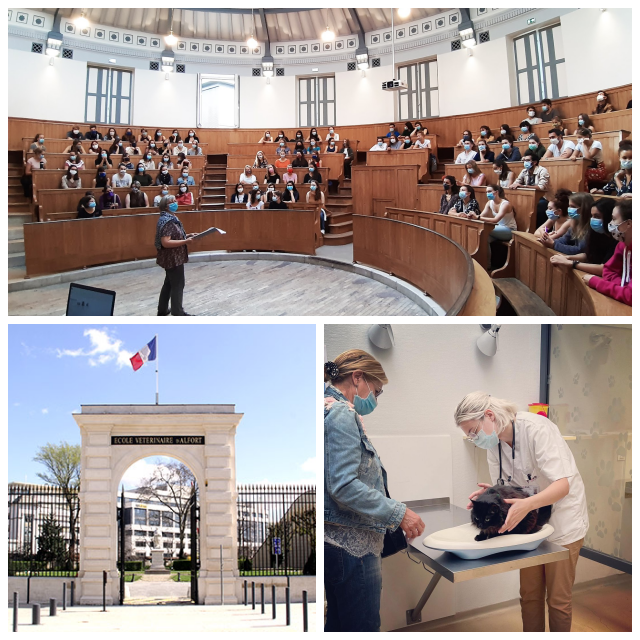 Review Ecole Veterinaire Maisons-Alfort image 113823
