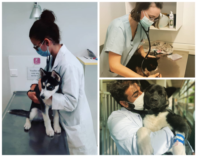 Review Ecole Veterinaire Maisons-Alfort image 113824
