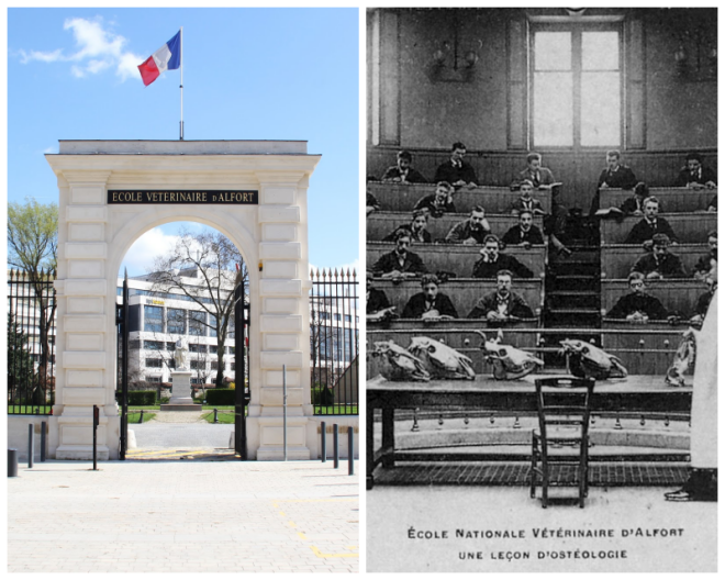 Review Ecole Veterinaire Maisons-Alfort image 113826