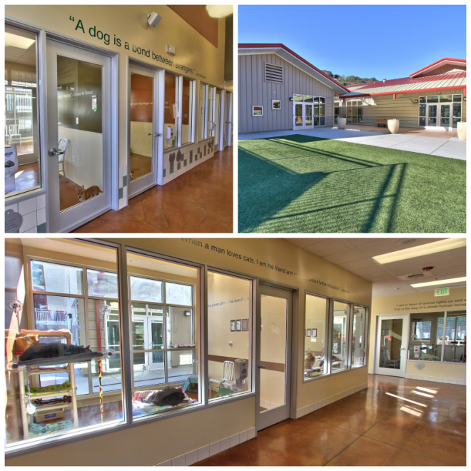 Review The spca for monterey county image 268249