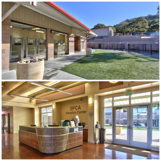 Review The spca for monterey county image 268251
