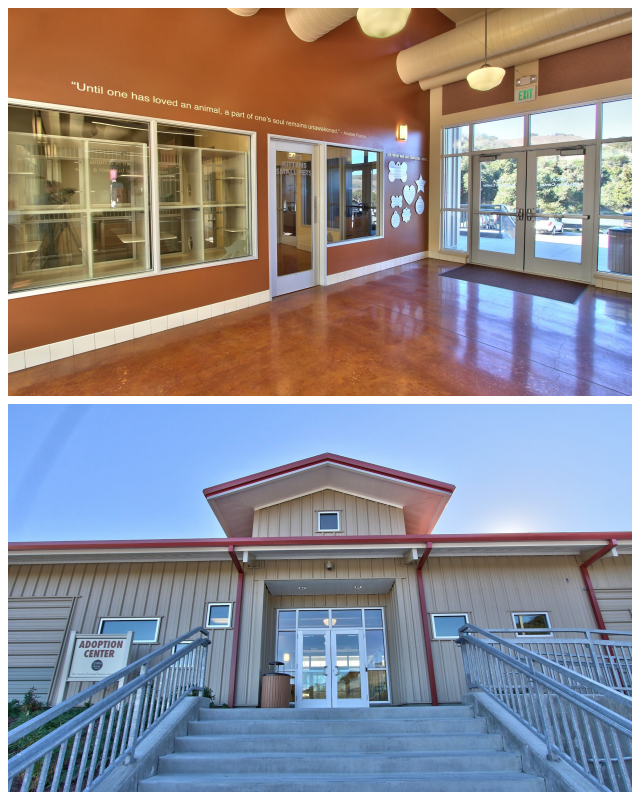 Review The spca for monterey county image 268252