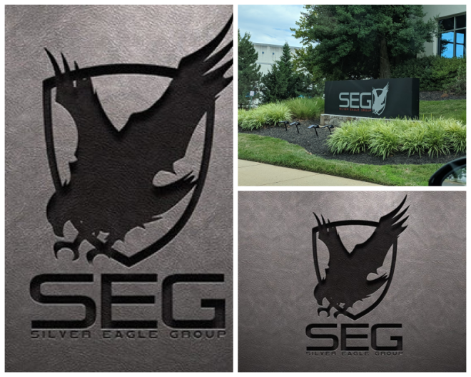 Review Silver Eagle Group image 65555