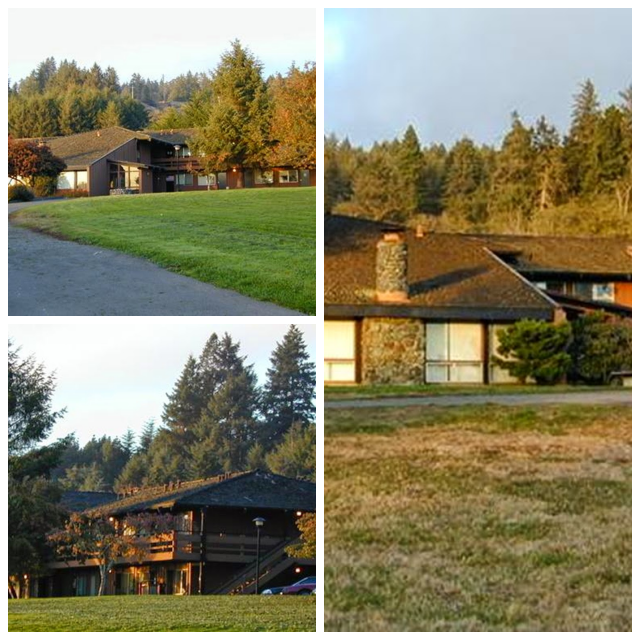 Review College of the redwoods image 241767