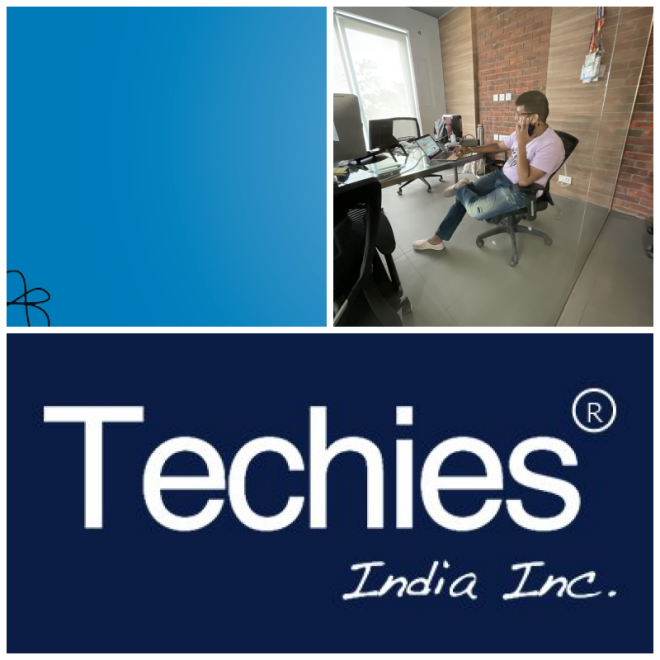 Review Techies India Inc. image 169272