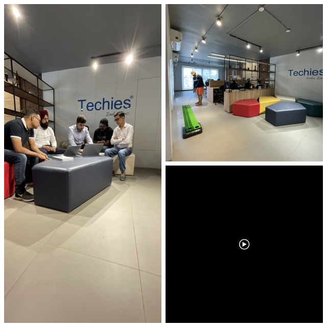 Review Techies India Inc. image 169273