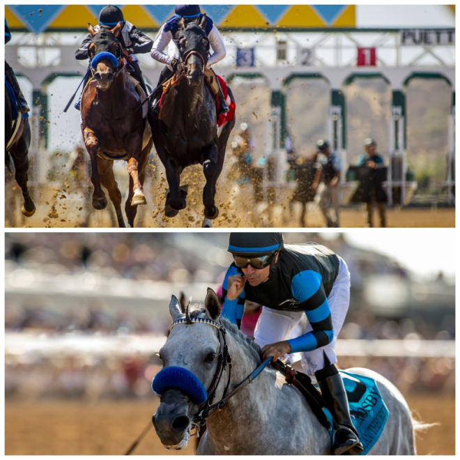 Review Del Mar Race Track image 204795