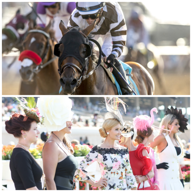 Review Del Mar Race Track image 204796