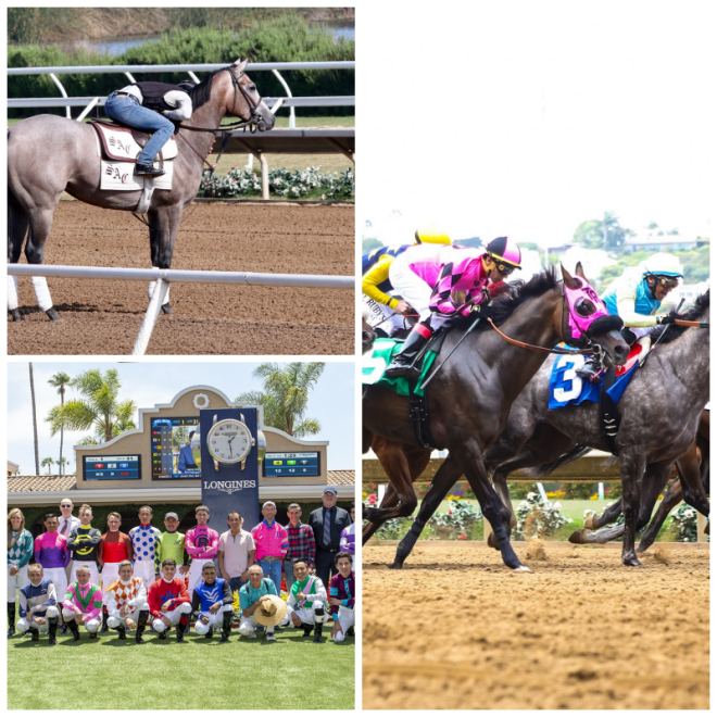 Review Del Mar Race Track image 204798