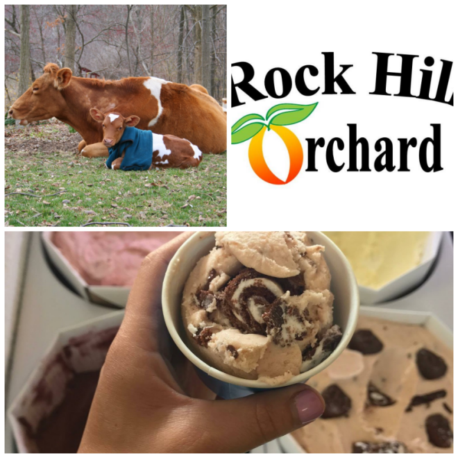 Review Rock hill orchard image 347095