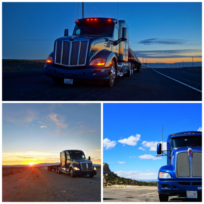 Review System transport image 247565