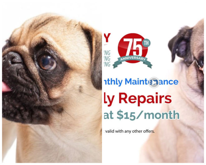 Review Quigley heating & air image 342186